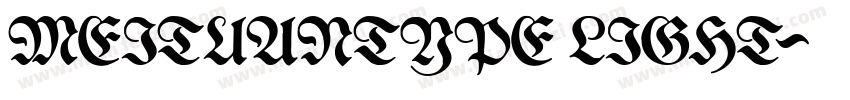 MEITUANTYPE LIGHT字体转换
